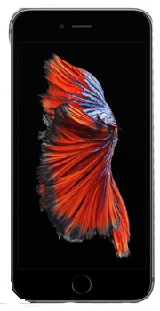 Apple iphone 6s